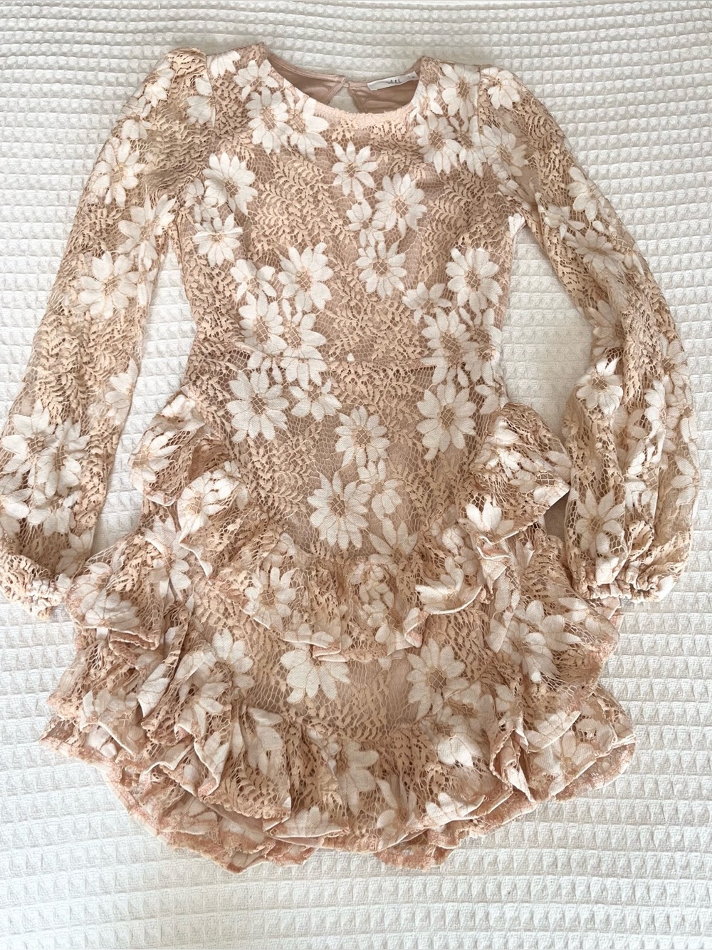 TALULAH Blush Lace Floral Ruffle Long-Sleeve open back dress size small
